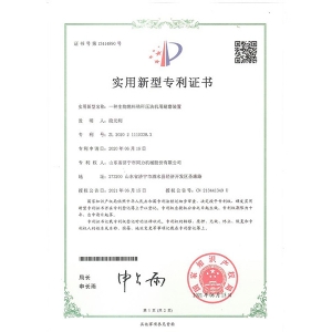 专利